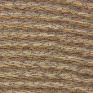 1604250010b6 s-screen ginger roller shade fabric swatch